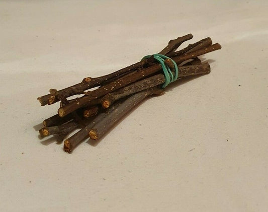 Zehn dünne Erlenstäbchen als Garnelen-, Welse- und Krebsfutter mit Erlen-Filtermaterial, naturbelassen und biologisch.