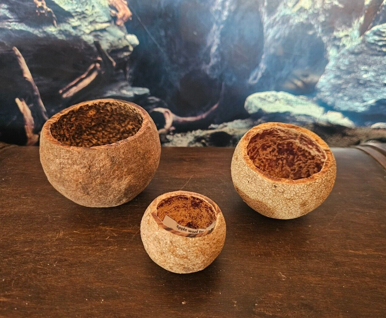 Ceramic Nature Apfel-Holz-Pod, ca. 4-7cm, natürliche Dekohöhle aus Apfelholz für Aquarien, Garnelen und Krebse
