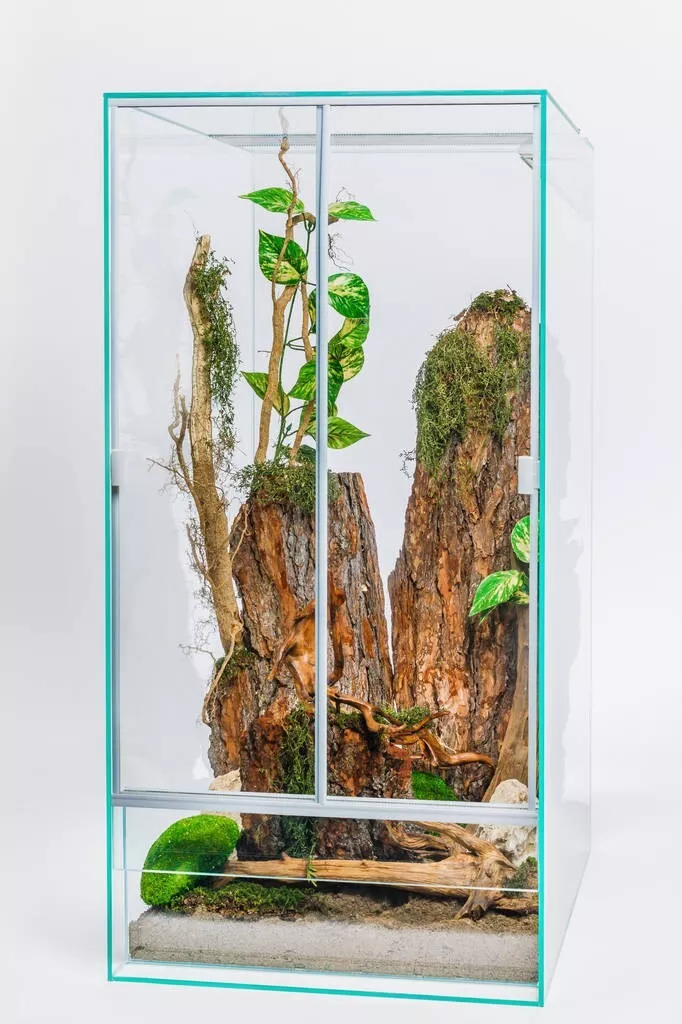 Glas Terrarium 60x60x120cm Hochterrarium mit Schiebetüren - für Frosch Gecko