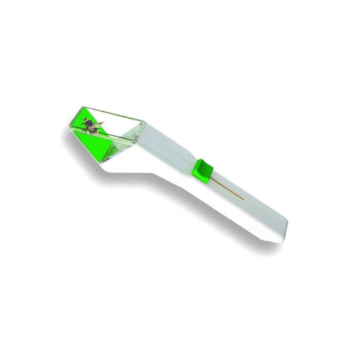 Image StockPhoto